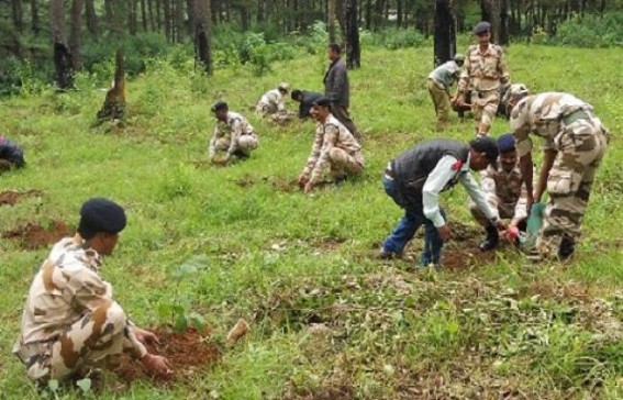 BSF plants four lakh saplings in 30 minutes BSF plants four lakh saplings in 30 minutes